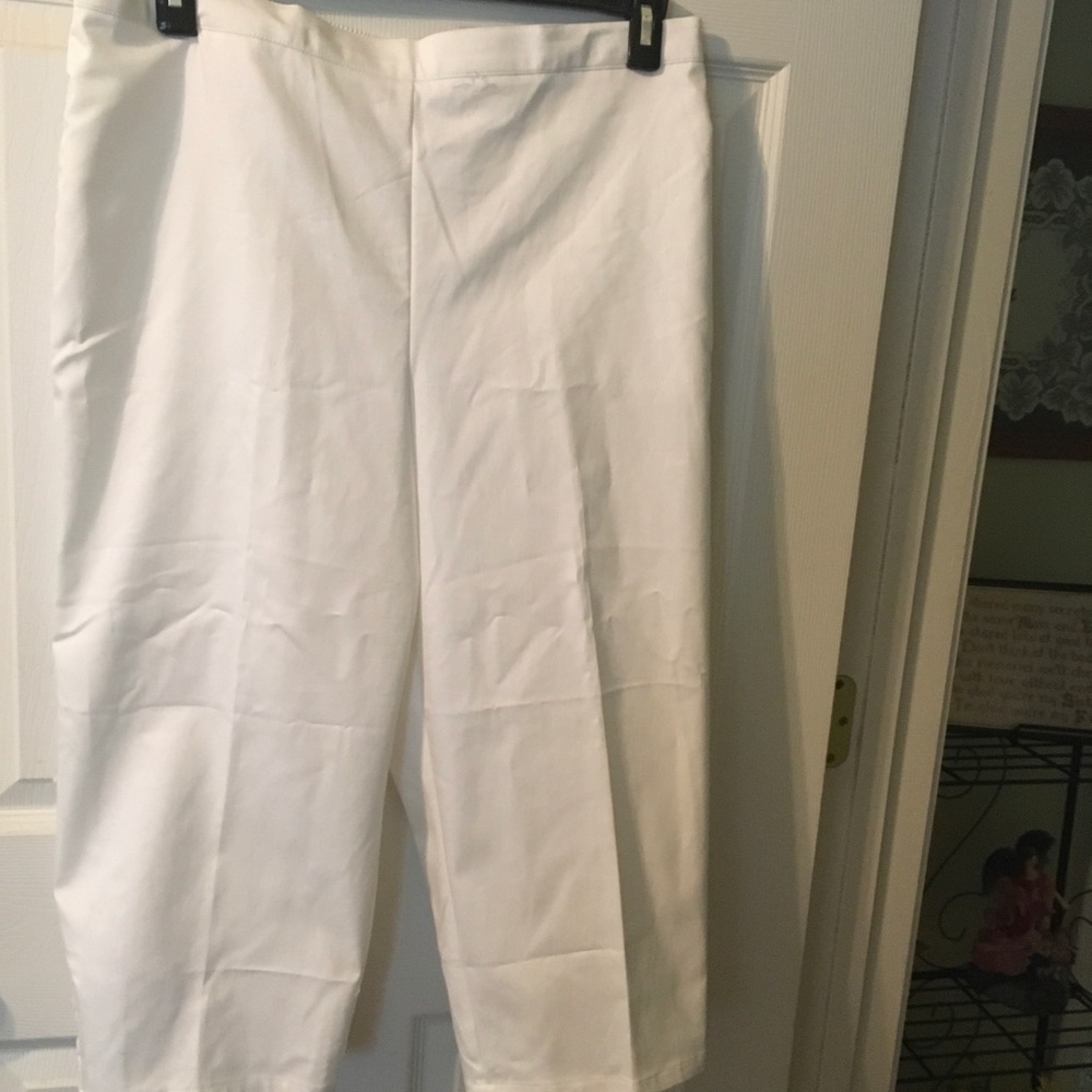 Capris - Picture 3 of 4